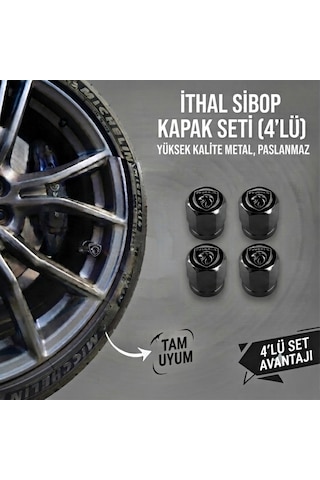 Peugeot Grubu İle Uyumlu Yeni Logo Alüminyum Altıgen Sibop Kapak Seti Siyah - İthal Sibop Kapağı 4lü Set Peugeot Grubu İle Uyumlu Yeni Logo Alüminyum Altıgen Sibop Kapak Seti Siyah - İthal Sibop Kapağı 4lü Set
