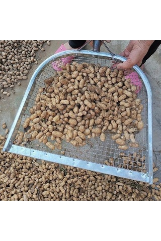 Trendooze Homyl Mısır Çekirdekleri Filtre Eleği 4-mm Elma Sıkma Aparatı İçin