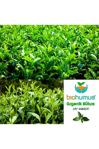 Çay İçin, Organik Gübre, Organik Sertifikalı, Kök Geliştirici, Toprak Düzenleyici, Bitki Besleyici 25 Kg 1 0,250