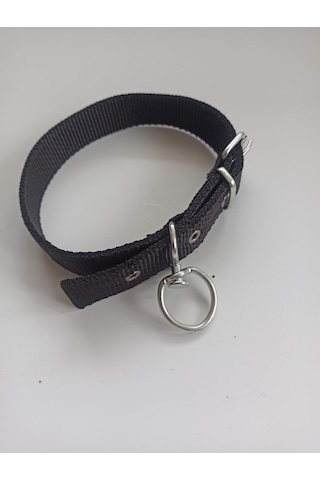 Kozaklı Orta Irk Köpek Tasması Siyah 60 x 3 CM Siyah