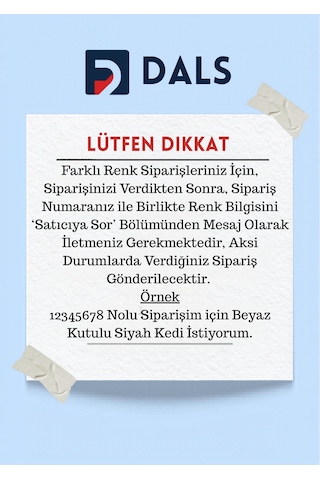 Sevimli Kedi Anahtar  Askısı