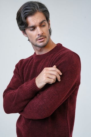 Bordo Regular Fit Bisiklet Yaka Triko Kazak-bordo Bordo