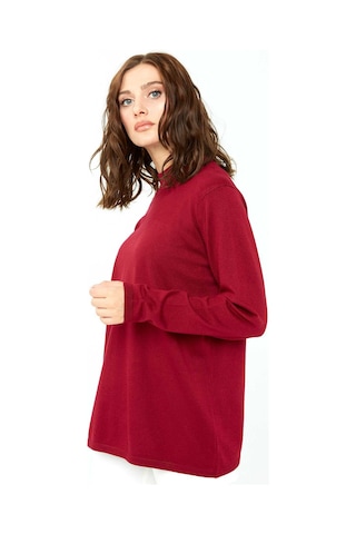 Desen Triko Kadın Likralı Uzun Kol Basic Yarım Balıkçı Bluz 0240016 Vişne Vişne