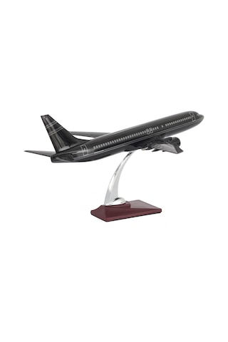 Zekupp Boeing 737-800 1/100 Ölçek Çizgi Detaylı Siyah Tasarımlı Model Uçak