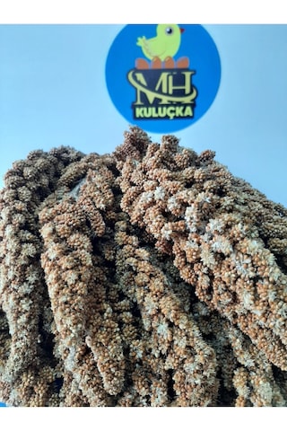 Dal Darı Kuş Yemi 1 Kg