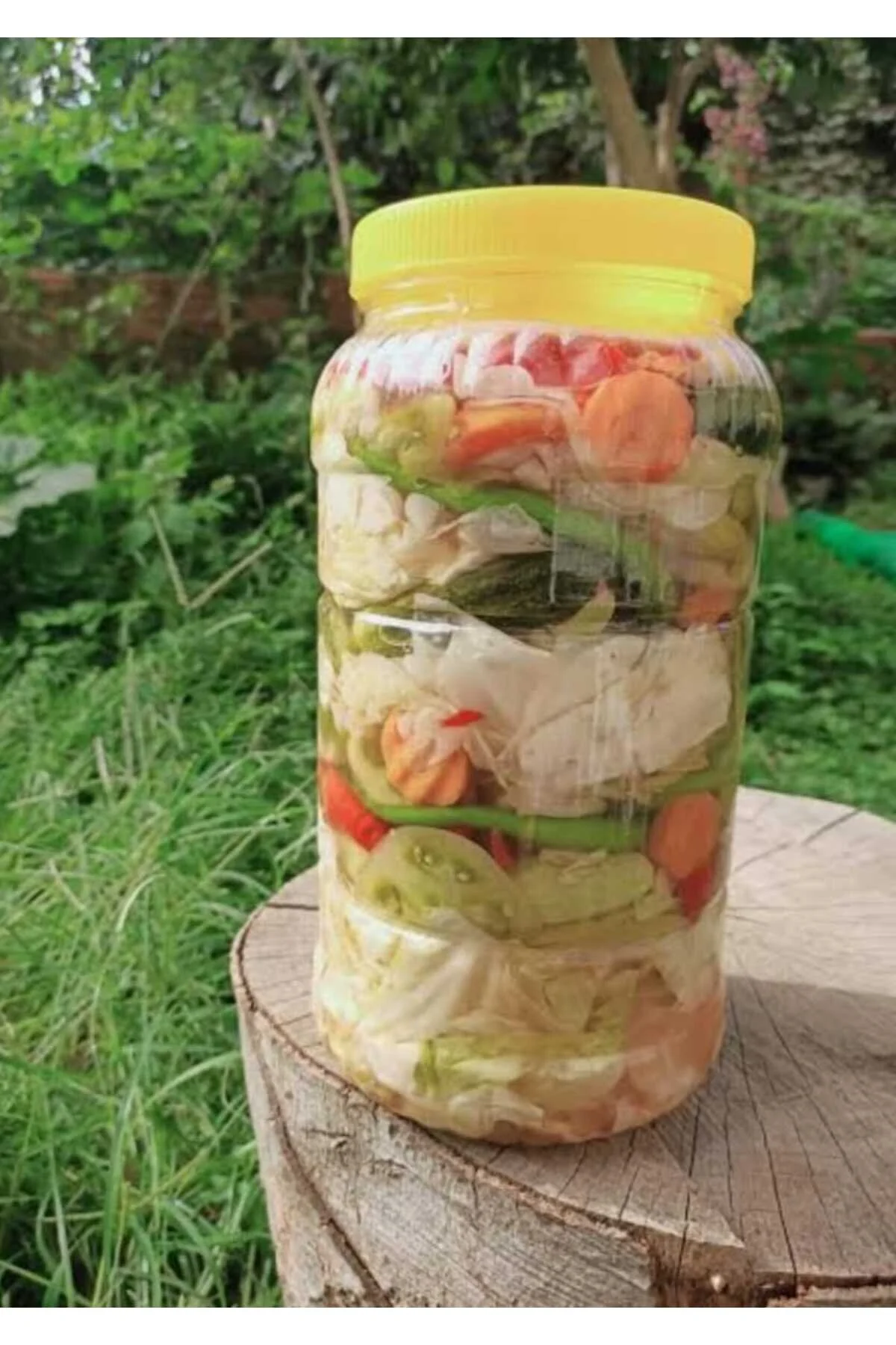 3 L Pet Turşu Bidonu 1adet Salça, Sirke, Yağ İçin Gıdaya Uygun Saklama Kabı Şefaf
