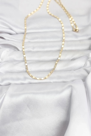 Ceylan Adam Cm 14k Gold Renk Ezme Zincir 60 Cm Kadın Kolye Çok Renkli