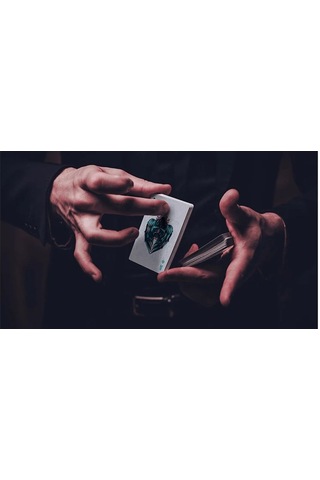 Hanson Chien Owl Blue Premium Oyun Kağıdı İskambil Kartları Destesi