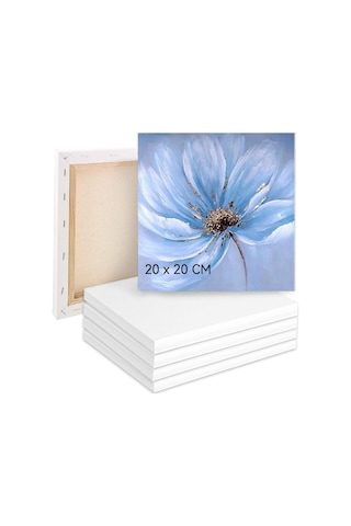 Erbo Boyama İçin Tuval 5'li Set, Tuval 20 X 20 Cm, Tuval %100 Pamuk, Boyama Tuvali, Tuval Çerçevesi, Akrilik, Sulu Bo Genel