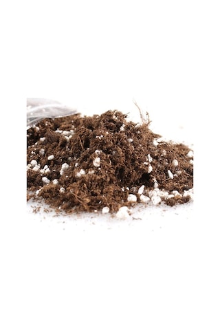 5 L Bonsai Toprağı Bonzai Toprağı Toprak Torf Bonzai Ağacı