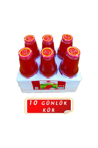 Kayseri Pazarı Gilaburu Nektarı Şeker İlavesiz 6 x 1 L