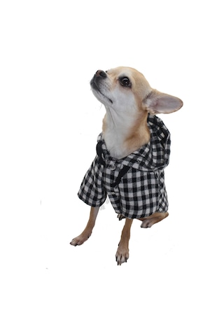 Pawstar Beyaz Ekose Oduncu Kedi Köpek Gömleği