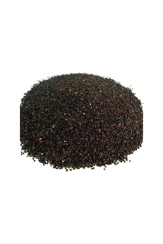 Siyah Hardal Tohumu 50 Gr 1 Adet