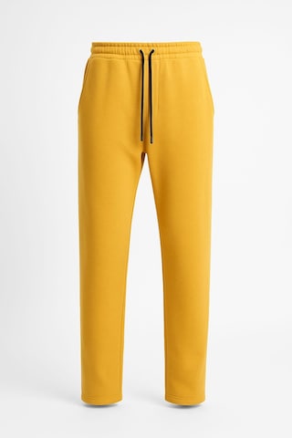 Erkek Düz Paça 3 İplik Şardonlu Rahat Kesim Premium Kumaş Eşofman Altı Sarı