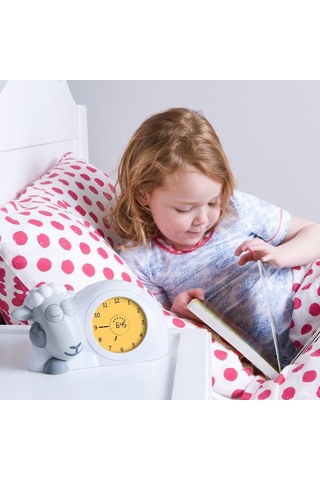 Zazu Kids Sam Parent Sku New & Old Diğer