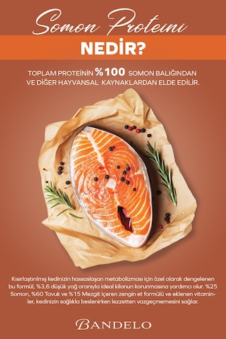 Somonlu Kısırlaştırılmış Yetişkin Kedi Yaş Maması - Jöle İçinde Parça Etli, 85 Gr X 24 Adet