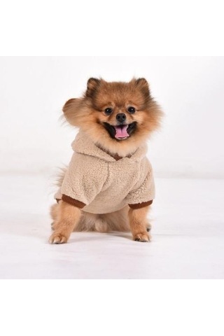 Gedyco Beige Premium Peluş Küçük Irk Köpek Sweatshirtü 2 - 8 Kg Arası Köpeklere Uygundur