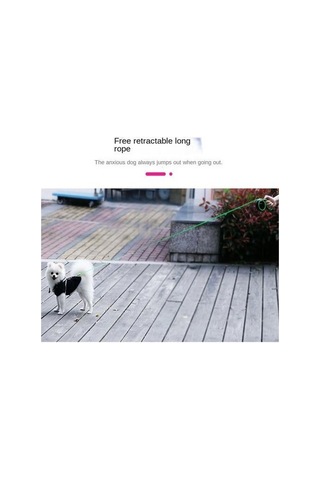 Soulader Otomatik Toplarlı Köpek Gezdirme Tasma İpi, Geri Çekilebilir Mekanizmalı Evcil Hayvan Tasma