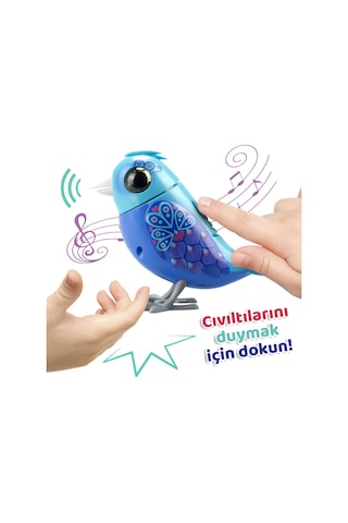 Digibirds Tekli Paket Seri 1 - Model 1-SIL/88600-01