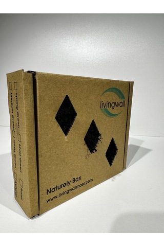 Reindermoss Şoklanmış Norveç Yosunu Terarium Yosunu Mor 100 Gr.