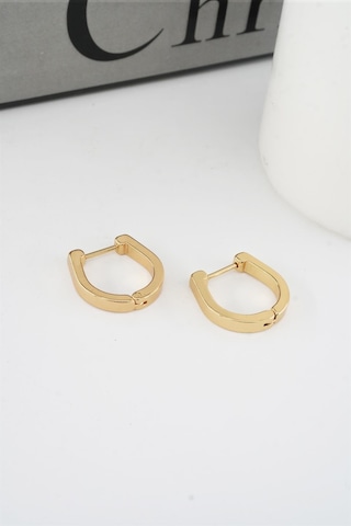 Kadın 316 L Paslanmaz Çelik 1.8 Cm Oval Model Küpe