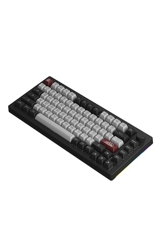 Akko 5075B Plus Dracula Castle Dracula Switch RGB Kablosuz Mekanik Oyuncu Klavye