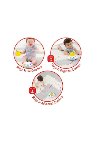 Skip Hop Explore & More Follow Bee Crawl Toy 5 Ay+ Müzikli ve
