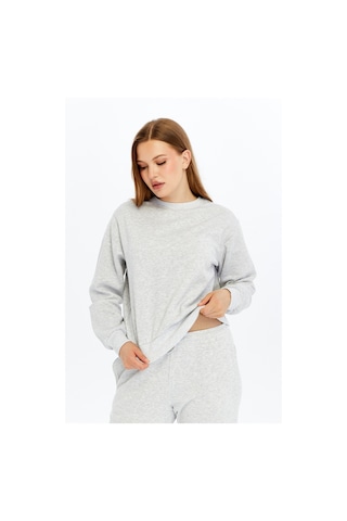 Defys Kadın Basic Sweat Gri Melanj