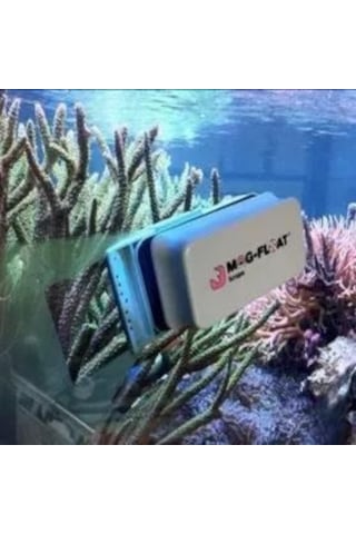 Mag Float Mag Scrape Large Plus Mıknatıslı Cam Sileceği