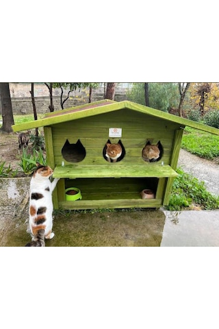 Pati Emlak Ahşap Mamalıklı Kedi Evi Pati Emlak Dış Mekan Kedi Kulübesi