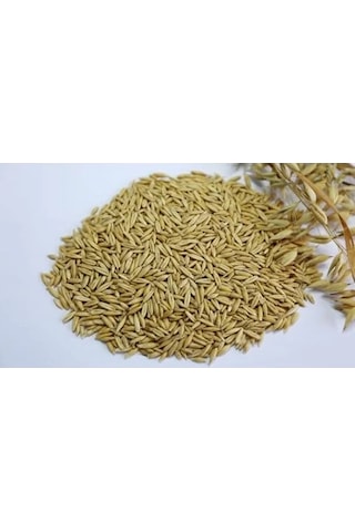 300 Gr Yulaf İçeren Kuş Yemi, Enerji Artırıcı Besin