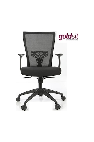 Dekofis Goldsit Çalışma Koltuğu Fileli