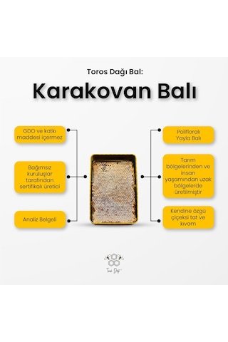 Toros Dağı Karakovan Balı Premium 900 G