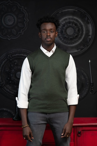 V Yaka Regular Fit Yünlü Kolsuz Triko Süveter Yeşil