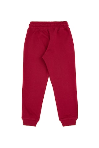 U.s. Polo Assn. Erkek Çocuk Eşofman Altı 50316517-vr104 Koyu Frambuaz/dark Raspberry