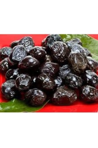 Bursatarım Gemlik Zeytin Fidanı tüplü/saksılı