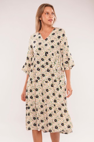 Gabria Kadın Gabria V Yaka Çiçek Desenli Elbise Pudra