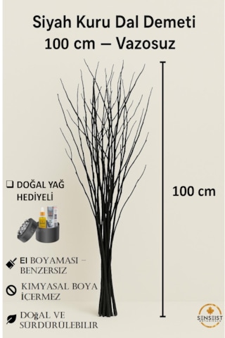 Gerçek Kurutulmuş Ağaç Dalı Demeti Siyah El Boyaması 100 C...