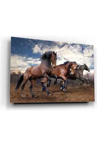 Hırçın Atlar Cam Tablo