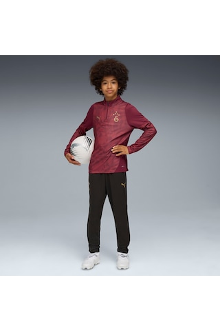 Puma Galatasaray Genç Antrenman Fermuarlı Üst 782888 03 Kırmızı