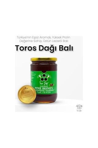 Toros Dağı Çam Balı 860 G