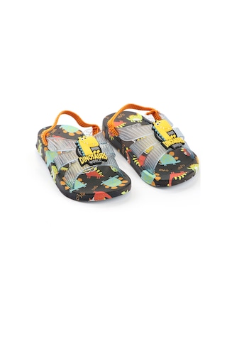 Gezer 13291 Dinazor Desenli Erkek Bebe Havuz Plaj Terlik-sandalet Siyah