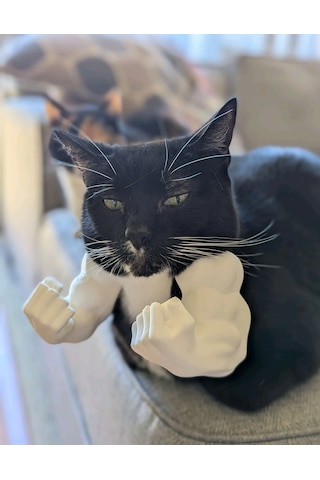 Kedi İçin Hulk Kolları Aksesuarı Beyaz Komik Kedi Aksesuarı