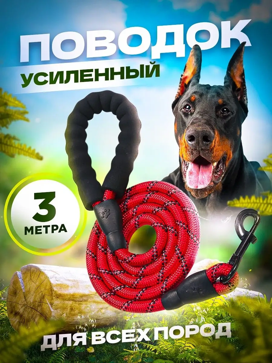 Petfort 3 M Yansıtıcı Naylon Köpek Tasması 167502163 Kırmızı
