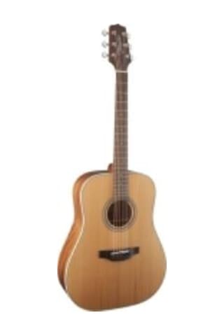 Takamine Gd20-Ns Akustik Gitar Kılıf + Askı + Pena