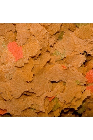 Osı Prostar Maintance Flake 50gr Açık