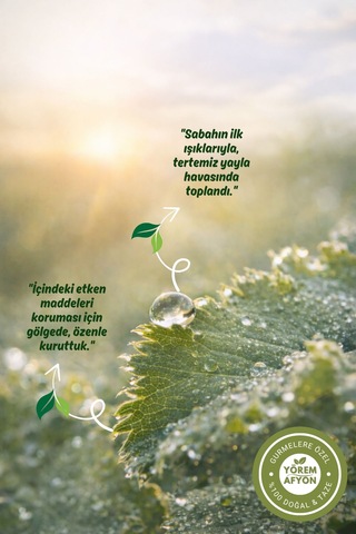 Yörem Afyon Kadınların Destekçisi Yüksek Rakım Mahsulü Testere Dişli Aslan Pençesi Alchemilla Vulgaris 30gr.