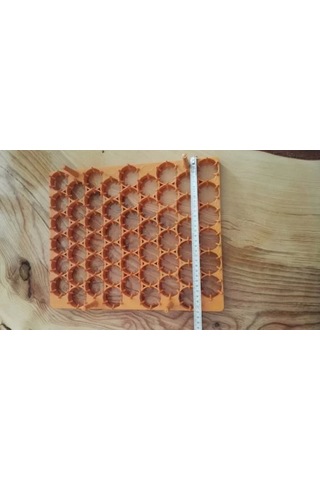 Gelişim viyolu 54 lü Tavuk