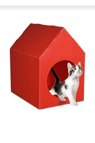 Kedi Evi Kulübesi Yuvası