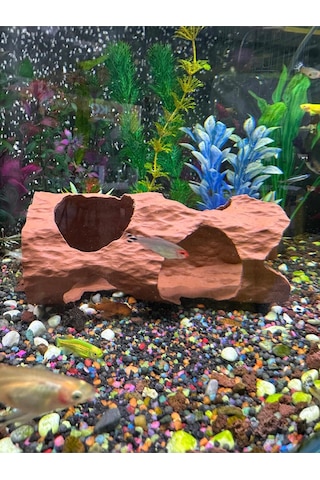 Akvaryum Dekor Oyuk Kütük / Mağara Gövdesi Suda Duran Model 17x8 Cm Ktk-178-sdm, One Size